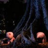 Small Beasts